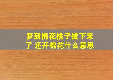 梦到棉花桃子拔下来了 还开棉花什么意思